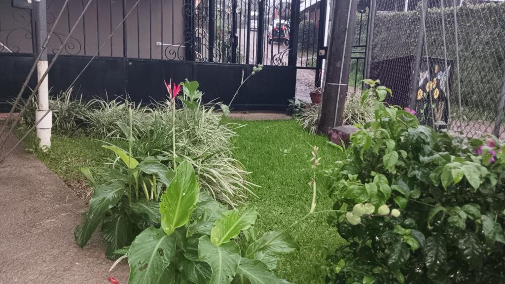 Monteverde Guesthouse المظهر الخارجي الصورة